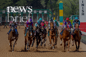 RR_the_rave_review_reading_room_thumbnail_template-OakLawn2
