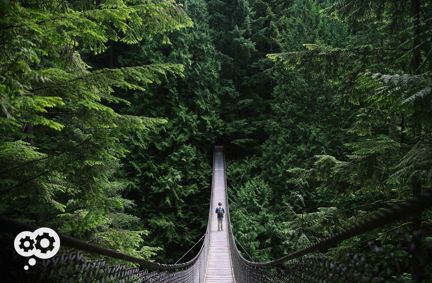 blog_ARK_bridgeproductivity2