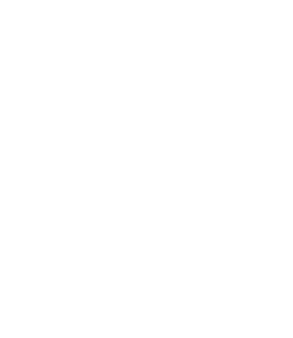 DMX-Security-Icon