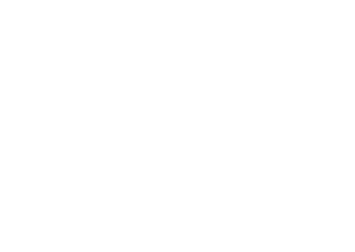rave_review_header_logo