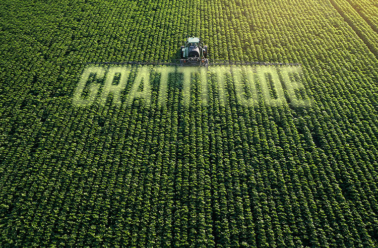RR-Article-Smaller-Thumbnail-Template-Cultivate-Culture