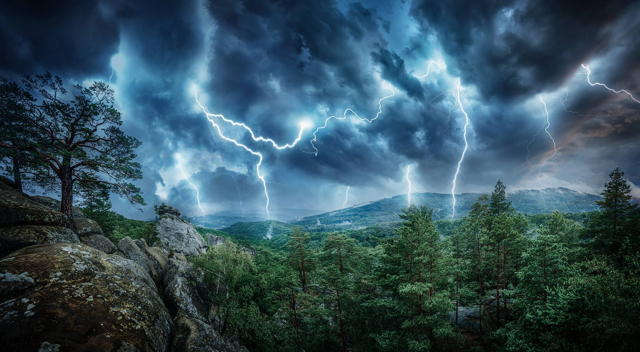 iStock-1069914916-Timberline iStock-1069914916-Timberline